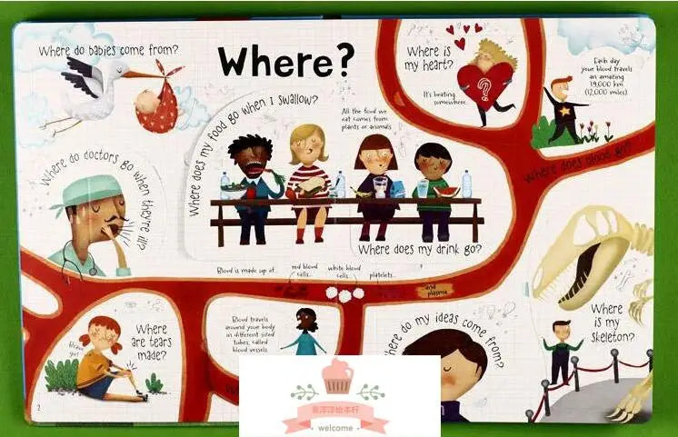 New Lift-The-Flap Questions And Answers About Your Body English Educational Picture Book Baby Kids Learning Reading Books