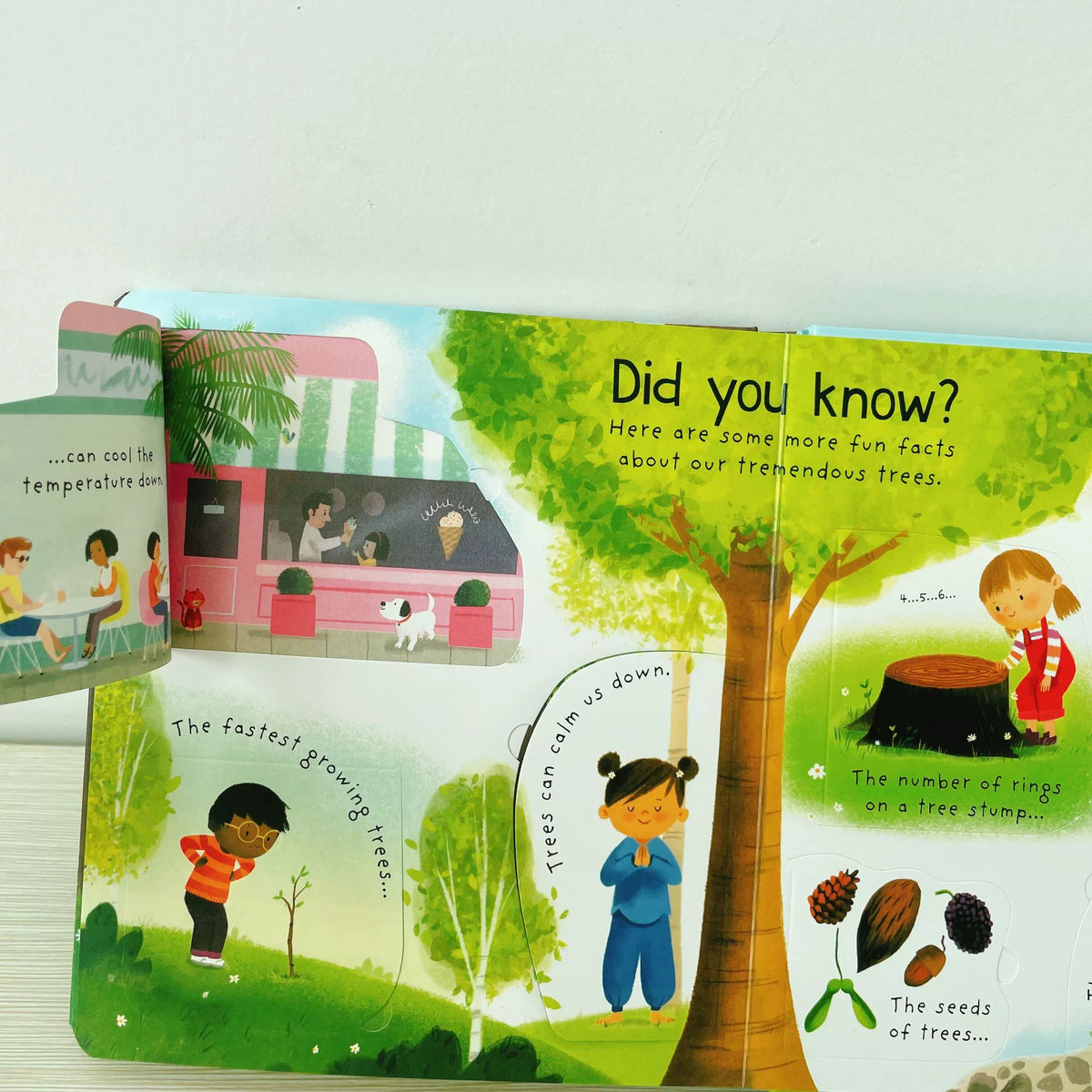 First Questions and Answers Why do we need trees? Usborne Lift the flap Children's Activity English Board Book