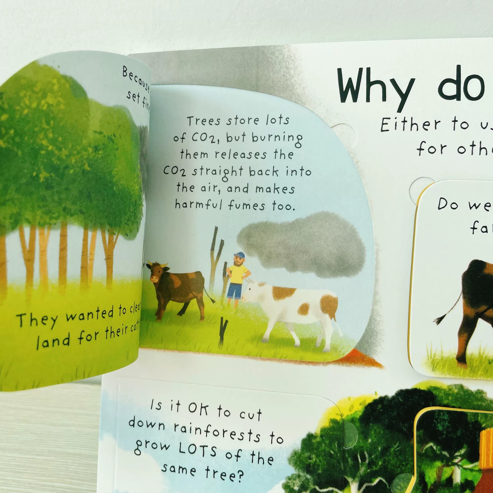 First Questions and Answers Why do we need trees? Usborne Lift the flap Children's Activity English Board Book