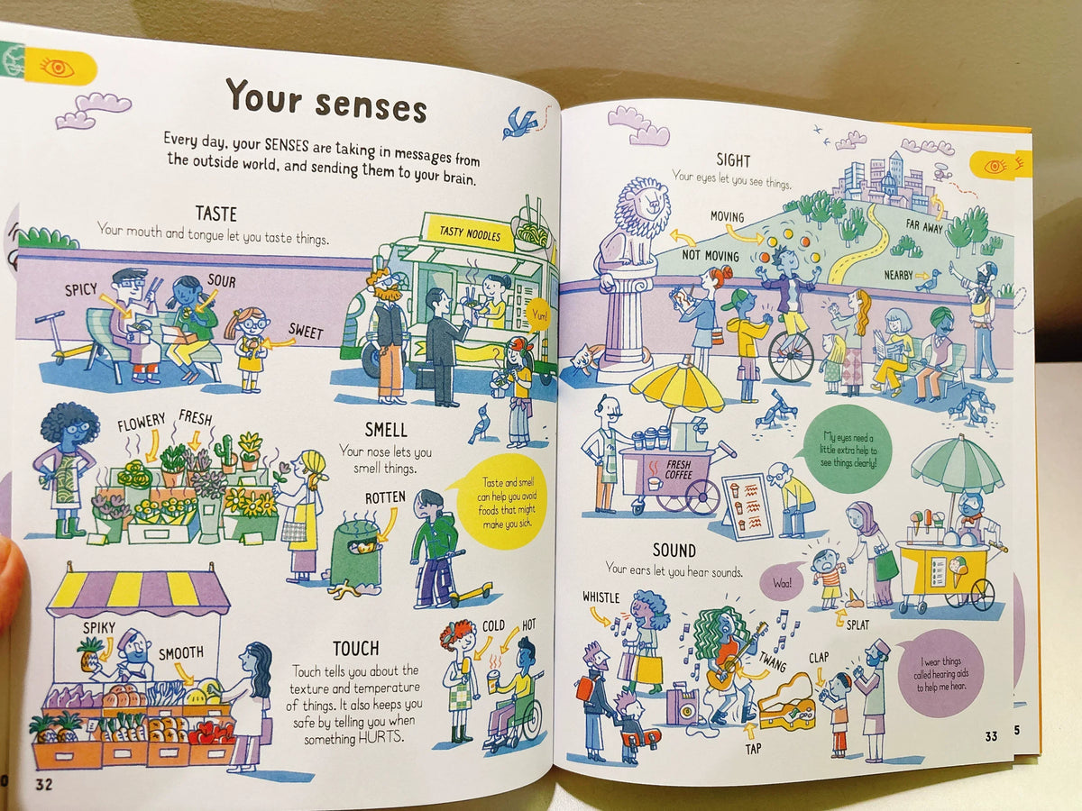 All You Need to Know about Your Body by Age 7 Children Educational English Picture Reading Book