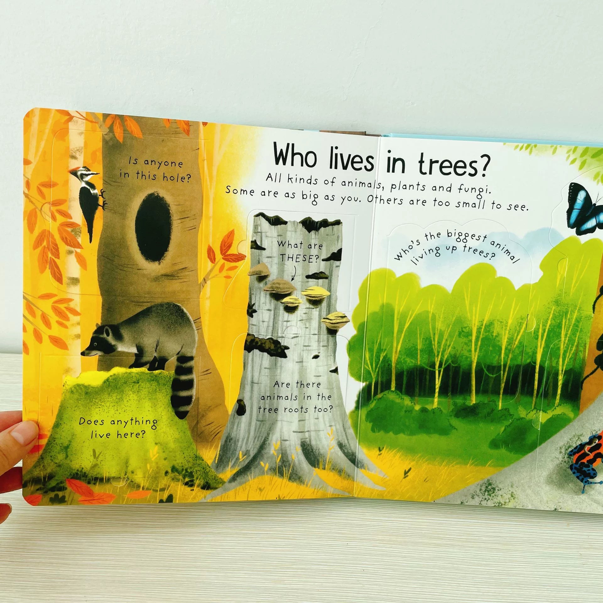 First Questions and Answers Why do we need trees? Usborne Lift the flap Children's Activity English Board Book