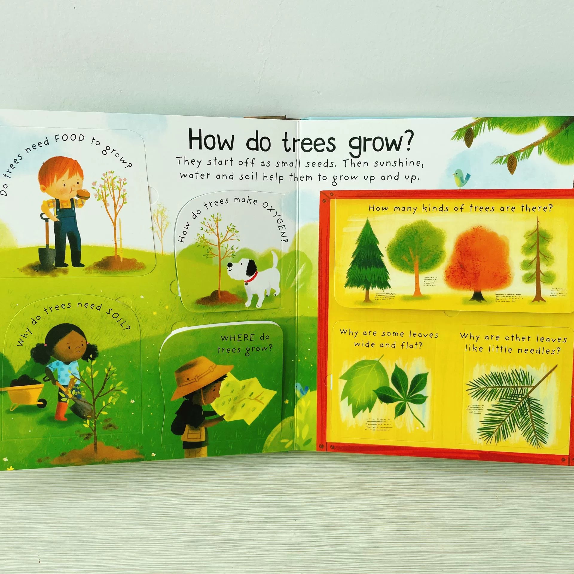 First Questions and Answers Why do we need trees? Usborne Lift the flap Children's Activity English Board Book