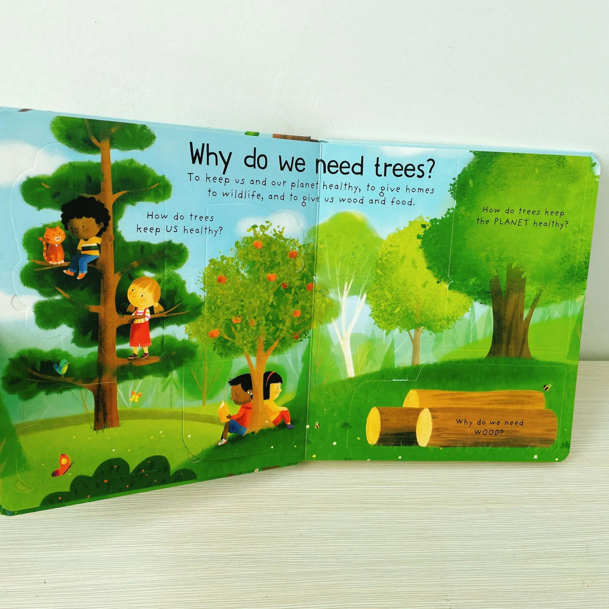 First Questions and Answers Why do we need trees? Usborne Lift the flap Children's Activity English Board Book