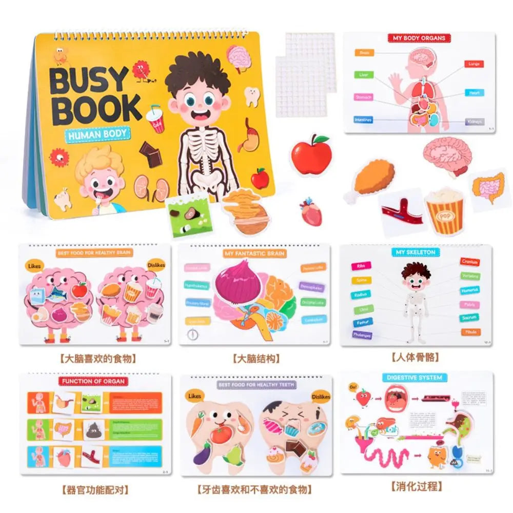 Interactive Learning Body Structure Busy Book Tear Pull Early Education Quiet Book Adhesive Book Cognitive Development