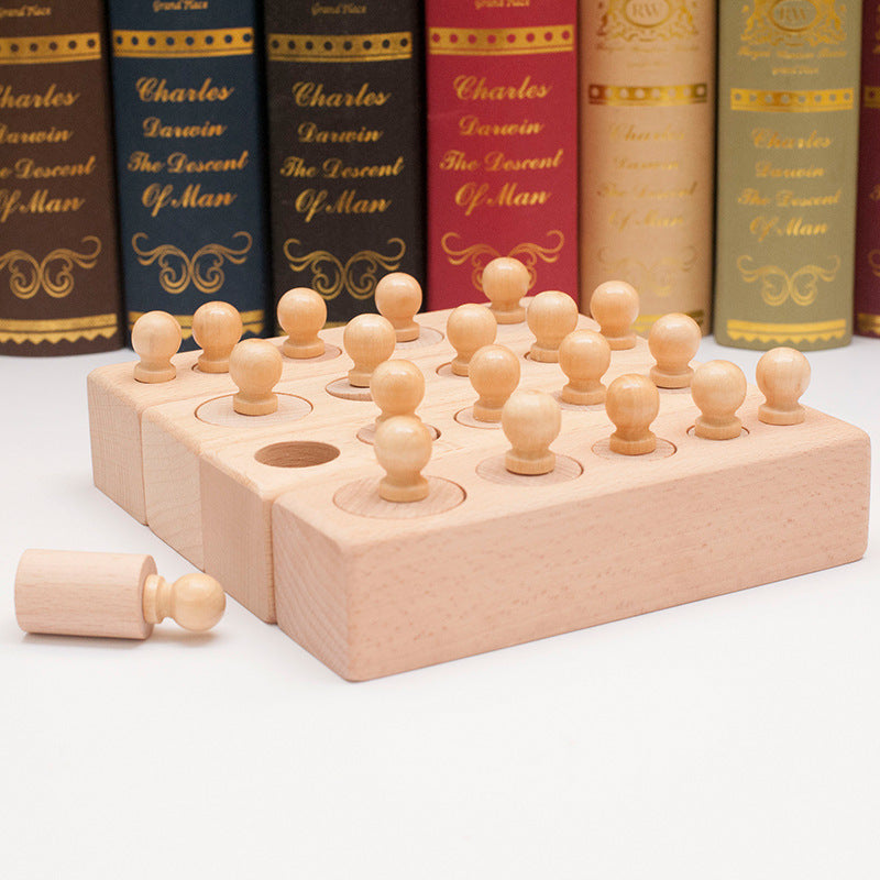 Montessori Montessori Early Education Teaching Aids Socket Cylinder Kindergarten Infant and Young Kidsren Educational Wooden Toys
