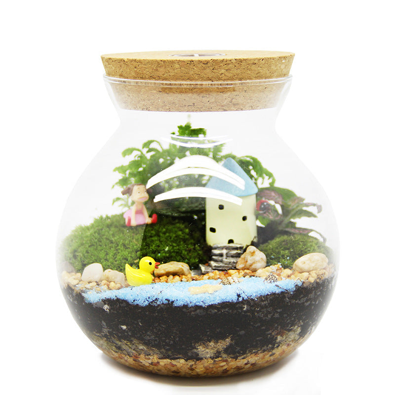 Moss Micro-Landscape Creative Gift Ornaments Green Plant Ecological Bottle Set Aerobic Plants Mini World