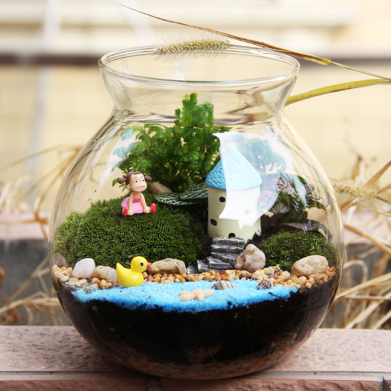 Moss Micro-Landscape Creative Gift Ornaments Green Plant Ecological Bottle Set Aerobic Plants Mini World