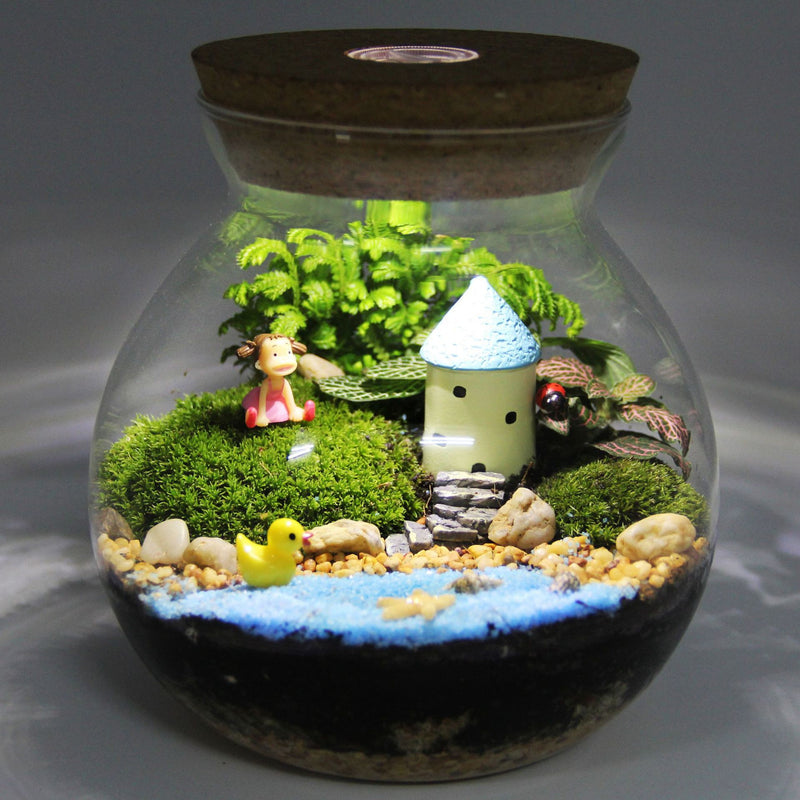 Moss Micro-Landscape Creative Gift Ornaments Green Plant Ecological Bottle Set Aerobic Plants Mini World