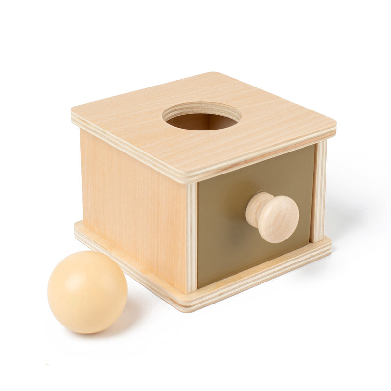 Wooden Children's Toys Montessori Early Education Educational Aids Kindergarten Tools Ball Drawer Target Box Science and Education Toys