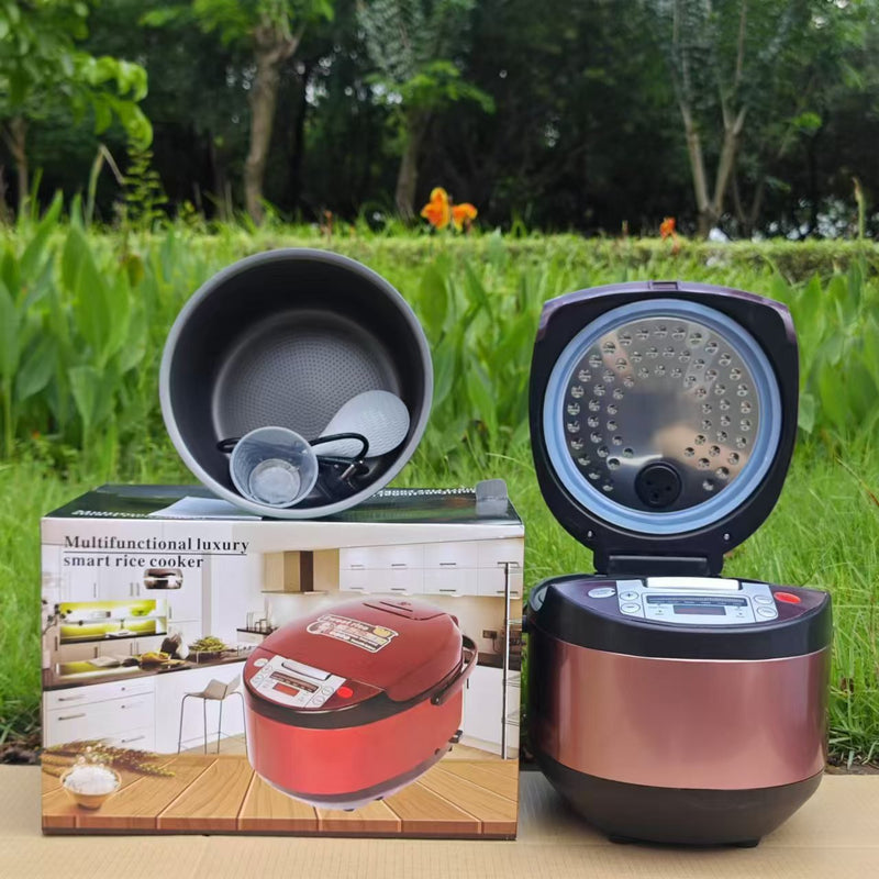 Cross-Border 5Lrice Cooker Rice Cooker Household Smart Rice Cooker Large Capacity Scheduled European and British Regulations